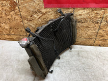 Load image into Gallery viewer, 43690599