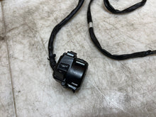 Load image into Gallery viewer, 43987456