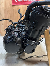 Load image into Gallery viewer, 43983960