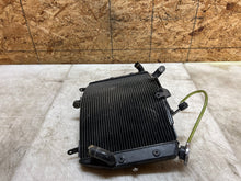 Load image into Gallery viewer, 43735961