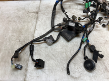 Load image into Gallery viewer, 43735543