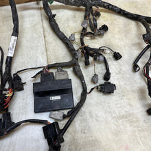 Load image into Gallery viewer, 45752174