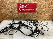 Load image into Gallery viewer, 43735389