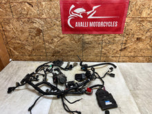 Load image into Gallery viewer, 45843101