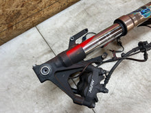 Load image into Gallery viewer, 43736154