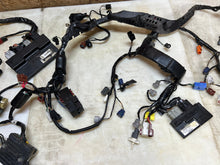 Load image into Gallery viewer, 45384346