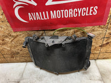 Load image into Gallery viewer, 43735961