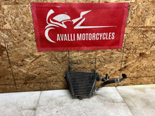 Load image into Gallery viewer, 43735542