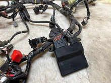 Load image into Gallery viewer, 44300756