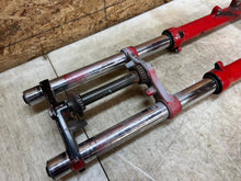 Load image into Gallery viewer, 46919876