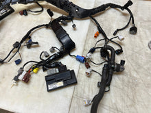 Load image into Gallery viewer, 45384346