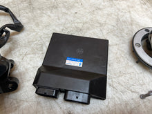 Load image into Gallery viewer, 43987453