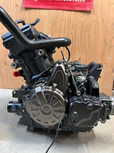 Load image into Gallery viewer, 43987396