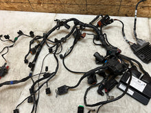 Load image into Gallery viewer, 43776639