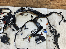 Load image into Gallery viewer, 45384346