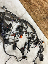 Load image into Gallery viewer, 43777904