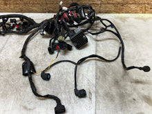 Load image into Gallery viewer, 43987449