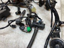 Load image into Gallery viewer, 43755775