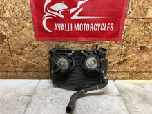 Load image into Gallery viewer, 43690599