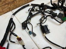 Load image into Gallery viewer, 18 19 20 21 HUSQVARNA VITPILEN 401 COMPLETE MAIN WIRING HARNESS LOOM ECU CDI ECM