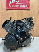 Load image into Gallery viewer, 43735526