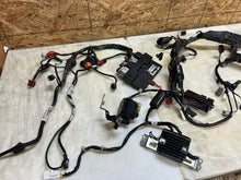 Load image into Gallery viewer, 45384346