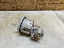 Load image into Gallery viewer, 45391975