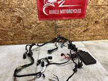 Load image into Gallery viewer, 43690574