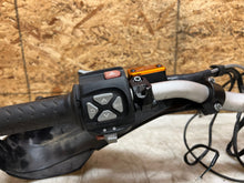 Load image into Gallery viewer, 43735391