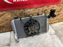 Load image into Gallery viewer, 44033025