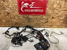 Load image into Gallery viewer, 43735951