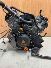 Load image into Gallery viewer, 43735526