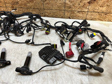 Load image into Gallery viewer, 43690187