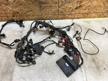 Load image into Gallery viewer, 43735951