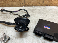 Load image into Gallery viewer, 43987453