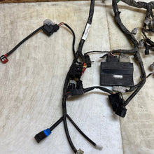 Load image into Gallery viewer, 45752174