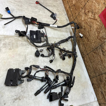 Load image into Gallery viewer, 45752174