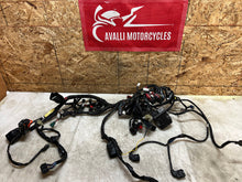 Load image into Gallery viewer, 43987449