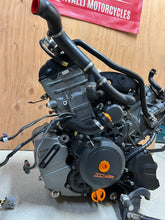 Load image into Gallery viewer, 43735526