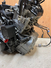 Load image into Gallery viewer, 43735526