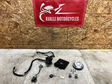 Load image into Gallery viewer, 43987453