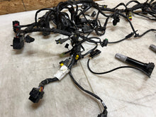 Load image into Gallery viewer, 43690187