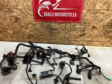 Load image into Gallery viewer, 43736156