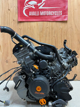 Load image into Gallery viewer, 43735526