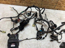 Load image into Gallery viewer, 43755772