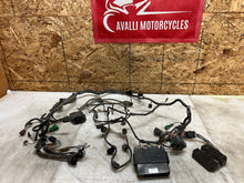 Load image into Gallery viewer, 43690259