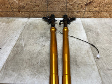 Load image into Gallery viewer, 46694557