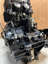 Load image into Gallery viewer, 44496411