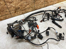 Load image into Gallery viewer, 43777904