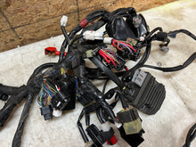 Load image into Gallery viewer, 43987449